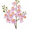Artificial Flower Phalaenopsis 3 single stem GS-64925025-P1_4 Artificial Flower 15*15*58cm Phalaenopsis *3 single stem GS-64925025-P1 2025Oct YeahFlower is one of Chinese leading OEM manufacturers and exporters , supplying the silk flowers, wholesale artificial trees