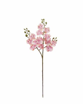Artificial Flower 15*15*58cm Phalaenopsis *3 single stem GS-64925025-P2 2025Oct YeahFlower is one of Chinese leading OEM manufacturers and exporters , supplying the silk flowers, wholesale artificial trees Artificial Flower 15*15*58cm Phalaenopsis *3 single stem GS-64925025-P2 2025Oct YeahFlower is one of Chinese leading OEM manufacturers and exporters , supplying the silk flowers, wholesale artificial trees