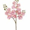 Artificial Flower Phalaenopsis 3 single stem GS-64925025-P2_4 Artificial Flower 15*15*58cm Phalaenopsis *3 single stem GS-64925025-P2 2025Oct YeahFlower is one of Chinese leading OEM manufacturers and exporters , supplying the silk flowers, wholesale artificial trees