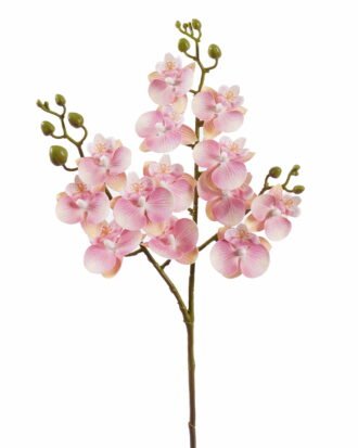Artificial Flower 15*15*58cm Phalaenopsis *3 single stem GS-64925025-P2 2025Oct YeahFlower is one of Chinese leading OEM manufacturers and exporters , supplying the silk flowers, wholesale artificial trees Artificial Flower 15*15*58cm Phalaenopsis *3 single stem GS-64925025-P2 2025Oct YeahFlower is one of Chinese leading OEM manufacturers and exporters , supplying the silk flowers, wholesale artificial trees
