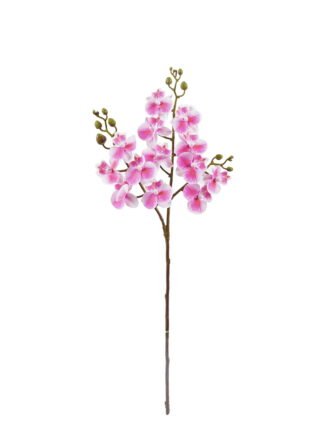 Artificial Flower 15*15*58cm Phalaenopsis *3 single stem GS-64925025-W1 2025Oct 3,000+ sqm showroom with thousands of artificial flowers, plants & trees ready for global sourcing.
