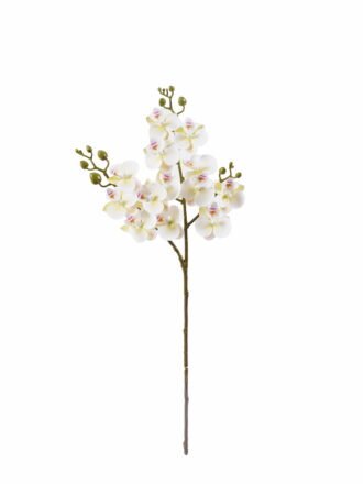 Artificial Flower 15*15*58cm Phalaenopsis *3 single stem GS-64925025-Y1 2025Oct 3,000+ sqm showroom with thousands of artificial flowers, plants & trees ready for global sourcing.