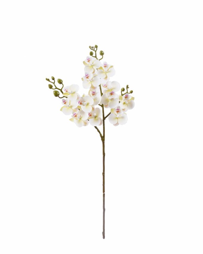 Artificial Flower 15*15*58cm Phalaenopsis *3 single stem GS-64925025-W1 2025Oct YeahFlower is one of Chinese leading OEM manufacturers and exporters , supplying the silk flowers, wholesale artificial trees