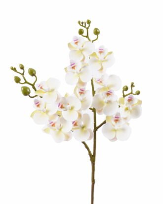 Artificial Flower 15*15*58cm Phalaenopsis *3 single stem GS-64925025-W1 2025Oct YeahFlower is one of Chinese leading OEM manufacturers and exporters , supplying the silk flowers, wholesale artificial trees