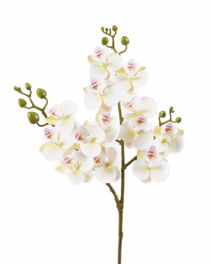 Artificial Flower 15*15*58cm Phalaenopsis *3 single stem GS-64925025-W1 2025Oct YeahFlower is one of Chinese leading OEM manufacturers and exporters , supplying the silk flowers, wholesale artificial trees