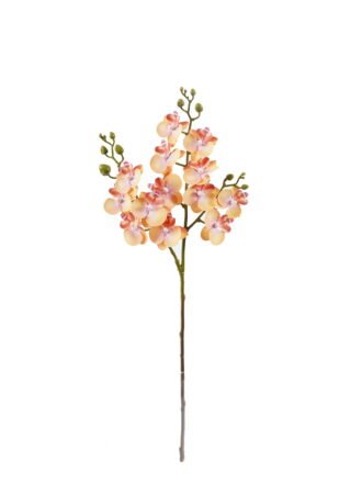 Artificial Flower 15*15*58cm Phalaenopsis *3 single stem GS-64925025-W1 2025Oct 3,000+ sqm showroom with thousands of artificial flowers, plants & trees ready for global sourcing.