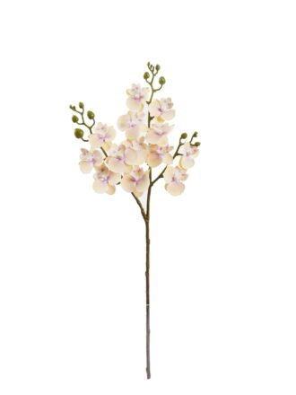 Artificial Flower 15*15*58cm Phalaenopsis *3 single stem GS-64925025-Y1 2025Oct 3,000+ sqm showroom with thousands of artificial flowers, plants & trees ready for global sourcing.