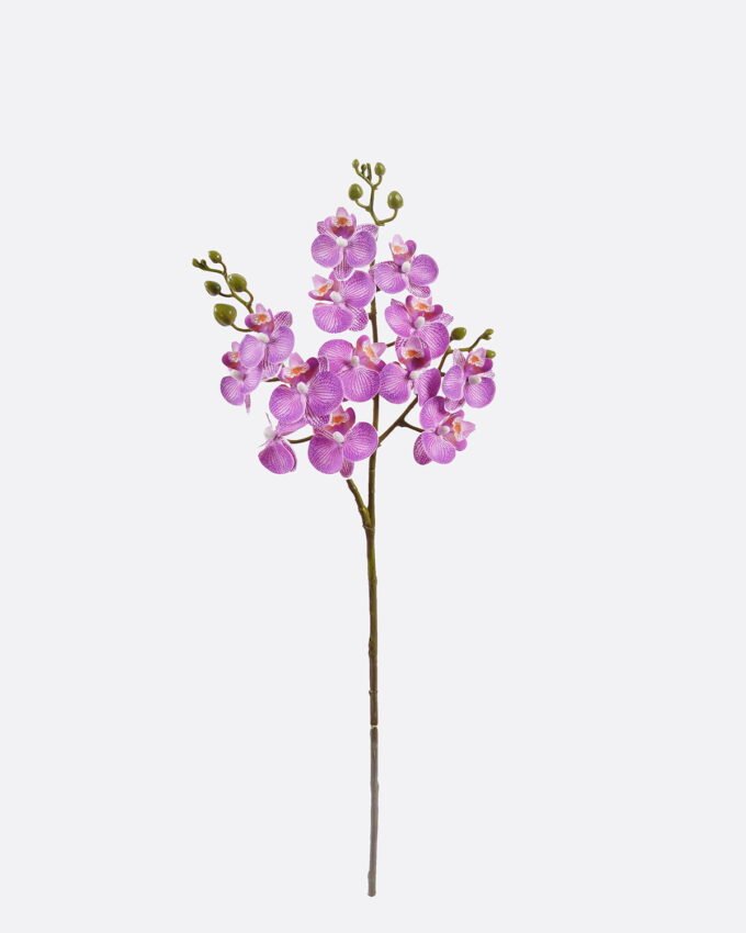 Artificial Flower Phalaenopsis 3 single stem GS-64925025-Z3_1 Artificial Flower 15*15*58cm Phalaenopsis *3 single stem GS-64925025-Z3 2025Oct YeahFlower is one of Chinese leading OEM manufacturers and exporters , supplying the silk flowers, wholesale artificial trees