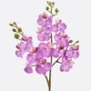 Artificial Flower Phalaenopsis 3 single stem GS-64925025-Z3_4 Artificial Flower 15*15*58cm Phalaenopsis *3 single stem GS-64925025-Z3 2025Oct YeahFlower is one of Chinese leading OEM manufacturers and exporters , supplying the silk flowers, wholesale artificial trees