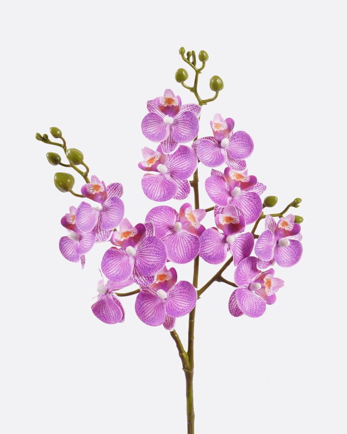 Artificial Flower Phalaenopsis 3 single stem GS-64925025-Z3_4 Artificial Flower 15*15*58cm Phalaenopsis *3 single stem GS-64925025-Z3 2025Oct YeahFlower is one of Chinese leading OEM manufacturers and exporters , supplying the silk flowers, wholesale artificial trees