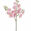Artificial Flower Phalaenopsis 3 single stem GS-64925025_2 Artificial Flower 15*15*58cm Phalaenopsis *3 single stem GS-64925025 2025Oct YeahFlower is one of Chinese leading OEM manufacturers and exporters , supplying the silk flowers, wholesale artificial trees