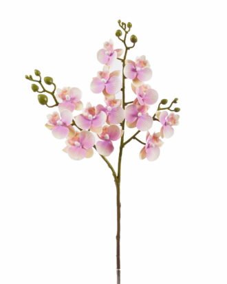 Artificial Flower 15*15*58cm Phalaenopsis *3 single stem GS-64925025 2025Oct YeahFlower is one of Chinese leading OEM manufacturers and exporters , supplying the silk flowers, wholesale artificial trees Artificial Flower 15*15*58cm Phalaenopsis *3 single stem GS-64925025 2025Oct YeahFlower is one of Chinese leading OEM manufacturers and exporters , supplying the silk flowers, wholesale artificial trees