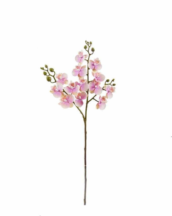 Artificial Flower Phalaenopsis 3 single stem GS-64925025_3 Artificial Flower 15*15*58cm Phalaenopsis *3 single stem GS-64925025 2025Oct YeahFlower is one of Chinese leading OEM manufacturers and exporters , supplying the silk flowers, wholesale artificial trees