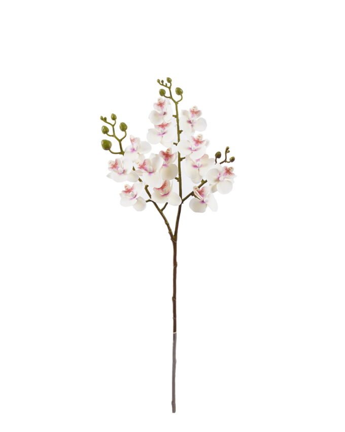 Artificial Flower Phalaenopsis 3 single stem GS-64925025_5 Artificial Flower 15*15*58cm Phalaenopsis *3 single stem GS-64925025 2025Oct YeahFlower is one of Chinese leading OEM manufacturers and exporters , supplying the silk flowers, wholesale artificial trees