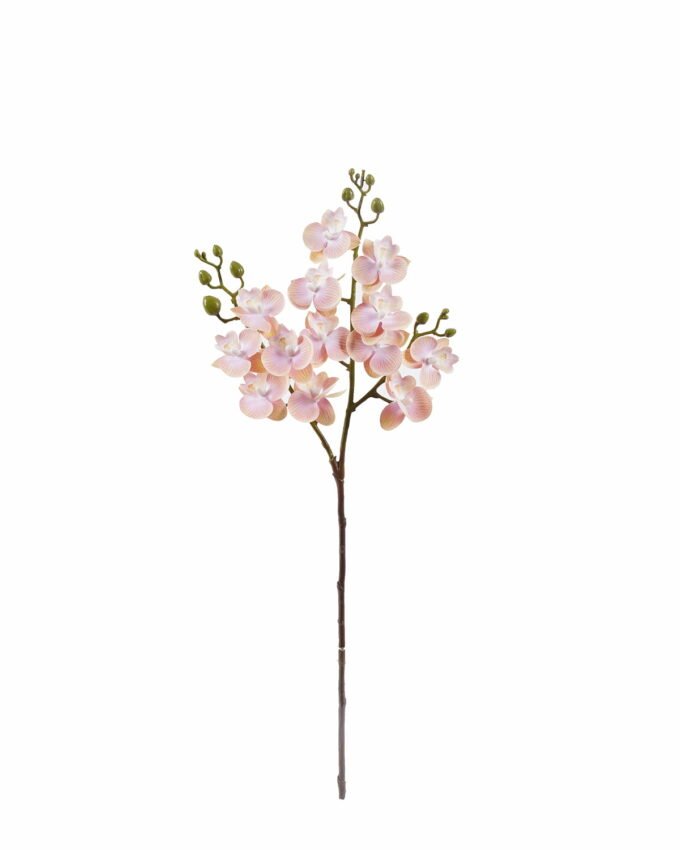 Artificial Flower Phalaenopsis 3 single stem GS-64925025_6 Artificial Flower 15*15*58cm Phalaenopsis *3 single stem GS-64925025 2025Oct YeahFlower is one of Chinese leading OEM manufacturers and exporters , supplying the silk flowers, wholesale artificial trees