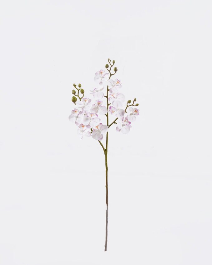 Artificial Flower Phalaenopsis 3 single stem GS-64925025_8 Artificial Flower 15*15*58cm Phalaenopsis *3 single stem GS-64925025 2025Oct YeahFlower is one of Chinese leading OEM manufacturers and exporters , supplying the silk flowers, wholesale artificial trees