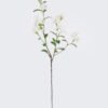 Artificial Flower Plumbago auriculata single stem GS-10625012CT-W1_3 Artificial Flower 28*28*86cm Plumbago auriculata single stem GS-10625012CT-W1 2025SEP YeahFlower is one of Chinese leading OEM manufacturers and exporters , supplying the silk flowers, wholesale artificial trees