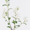Artificial Flower Plumbago auriculata single stem GS-10625012CT-W1_4 Artificial Flower 28*28*86cm Plumbago auriculata single stem GS-10625012CT-W1 2025SEP YeahFlower is one of Chinese leading OEM manufacturers and exporters , supplying the silk flowers, wholesale artificial trees