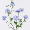 Artificial Flower 28*28*86cm Plumbago auriculata single stem GS-10625012CT 2025SEP YeahFlower is one of Chinese leading OEM manufacturers and exporters , supplying the silk flowers, wholesale artificial trees