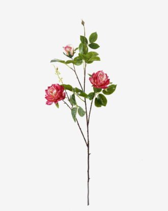 Artificial Flower 30*30*106cm Rose single stem GS-39125019CT-Z2 2025Oct YeahFlower is one of Chinese leading OEM manufacturers and exporters , supplying the silk flowers, wholesale artificial trees Artificial Flower 30*30*106cm Rose single stem GS-39125019CT-Z2 2025Oct YeahFlower is one of Chinese leading OEM manufacturers and exporters , supplying the silk flowers, wholesale artificial trees