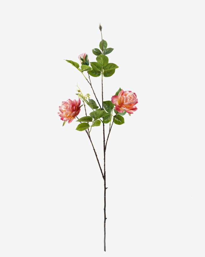 Artificial Flower Rose single stem GS-39125019CT_3 Artificial Flower 30*30*106cm Rose single stem GS-39125019CT 2025Oct YeahFlower is one of Chinese leading OEM manufacturers and exporters , supplying the silk flowers, wholesale artificial trees