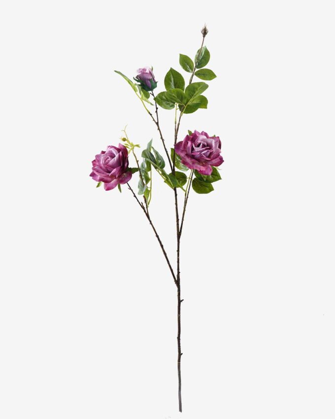 Artificial Flower Rose single stem GS-39125019CT_6 Artificial Flower 30*30*106cm Rose single stem GS-39125019CT 2025Oct YeahFlower is one of Chinese leading OEM manufacturers and exporters , supplying the silk flowers, wholesale artificial trees