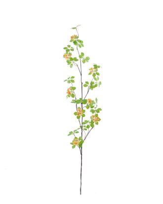 Artificial Flower 22*22*120cm Seaweed flower *27 single stem GS-77525011-Y1 2025Oct YeahFlower is one of Chinese leading OEM manufacturers and exporters , supplying the silk flowers, wholesale artificial trees Artificial Flower 22*22*120cm Seaweed flower *27 single stem GS-77525011-Y1 2025Oct YeahFlower is one of Chinese leading OEM manufacturers and exporters , supplying the silk flowers, wholesale artificial trees