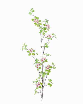 Artificial Flower 22*22*120cm Seaweed flower *27 single stem GS-77525011 2025Oct YeahFlower is one of Chinese leading OEM manufacturers and exporters , supplying the silk flowers, wholesale artificial trees Artificial Flower 22*22*120cm Seaweed flower *27 single stem GS-77525011 2025Oct YeahFlower is one of Chinese leading OEM manufacturers and exporters , supplying the silk flowers, wholesale artificial trees