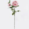 Artificial Flower Singel peony 2 GS-06021002CT-P2_4 Artificial Flower 27*79CM Singel peony*2 GS-06021002CT-P2 2025SEP YeahFlower is one of Chinese leading OEM manufacturers and exporters , supplying the silk flowers, wholesale artificial trees