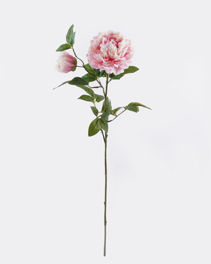 Artificial Flower Singel peony 2 GS-06021002CT-P2_4 Artificial Flower 27*79CM Singel peony*2 GS-06021002CT-P2 2025SEP YeahFlower is one of Chinese leading OEM manufacturers and exporters , supplying the silk flowers, wholesale artificial trees