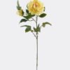 Artificial Flower Singel peony 2 GS-06021002CT-Y1_3 Artificial Flower 27*79CM Singel peony*2 GS-06021002CT-Y1 2025SEP YeahFlower is one of Chinese leading OEM manufacturers and exporters , supplying the silk flowers, wholesale artificial trees