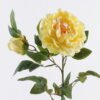 Artificial Flower Singel peony 2 GS-06021002CT-Y1_4 Artificial Flower 27*79CM Singel peony*2 GS-06021002CT-Y1 2025SEP YeahFlower is one of Chinese leading OEM manufacturers and exporters , supplying the silk flowers, wholesale artificial trees