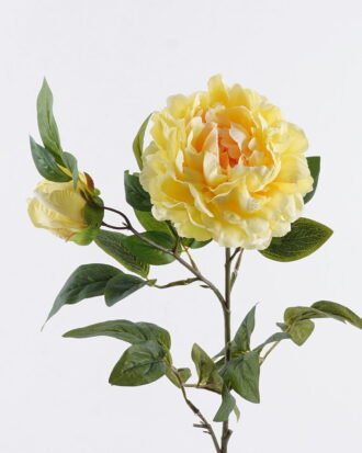 Artificial Flower 27*79CM Singel peony*2 GS-06021002CT-Y1 2025SEP YeahFlower is one of Chinese leading OEM manufacturers and exporters , supplying the silk flowers, wholesale artificial trees Artificial Flower 27*79CM Singel peony*2 GS-06021002CT-Y1 2025SEP YeahFlower is one of Chinese leading OEM manufacturers and exporters , supplying the silk flowers, wholesale artificial trees
