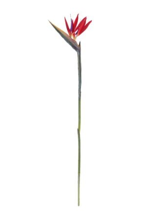 Artificial Flower 7*81cm Strelitzia reginae  single stem GS-50525058 2025Oct 3,000+ sqm showroom with thousands of artificial flowers, plants & trees ready for global sourcing.