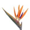 Artificial Flower 7*81cm Strelitzia reginae  single stem GS-50525058 2025Oct YeahFlower is one of Chinese leading OEM manufacturers and exporters , supplying the silk flowers, wholesale artificial trees
