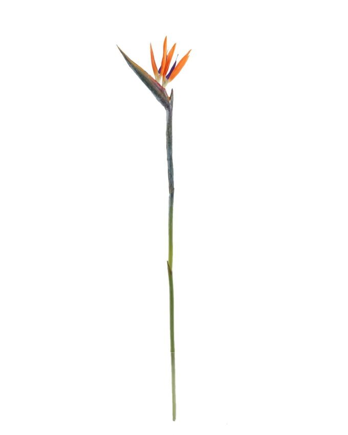 Artificial Flower 7*81cm Strelitzia reginae  single stem GS-50525058 2025Oct YeahFlower is one of Chinese leading OEM manufacturers and exporters , supplying the silk flowers, wholesale artificial trees