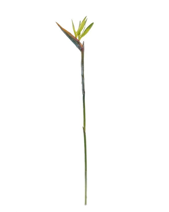 Artificial Flower 7*81cm Strelitzia reginae  single stem GS-50525058 2025Oct YeahFlower is one of Chinese leading OEM manufacturers and exporters , supplying the silk flowers, wholesale artificial trees