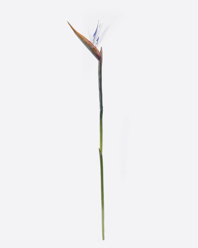 Artificial Flower 7*81cm Strelitzia reginae  single stem GS-50525058 2025Oct YeahFlower is one of Chinese leading OEM manufacturers and exporters , supplying the silk flowers, wholesale artificial trees