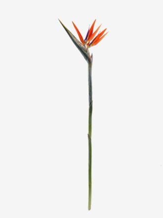Artificial Flower 18*110cm Strelitzia single stem GS-50525040 2025Oct 3,000+ sqm showroom with thousands of artificial flowers, plants & trees ready for global sourcing.