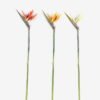 Artificial Flower Strelitzia single stem GS-50525040_2 Artificial Flower 18*110cm Strelitzia single stem GS-50525040 2025Oct YeahFlower is one of Chinese leading OEM manufacturers and exporters , supplying the silk flowers, wholesale artificial trees