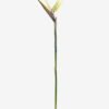 Artificial Flower Strelitzia single stem GS-50525040_4 Artificial Flower 18*110cm Strelitzia single stem GS-50525040 2025Oct YeahFlower is one of Chinese leading OEM manufacturers and exporters , supplying the silk flowers, wholesale artificial trees