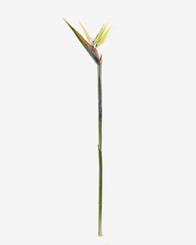 Artificial Flower Strelitzia single stem GS-50525040_4 Artificial Flower 18*110cm Strelitzia single stem GS-50525040 2025Oct YeahFlower is one of Chinese leading OEM manufacturers and exporters , supplying the silk flowers, wholesale artificial trees