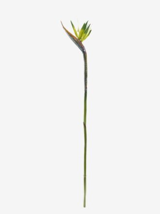 Artificial Flower 13*94cm Strelitzia single stem GS-50525041-R1 2025Oct 3,000+ sqm showroom with thousands of artificial flowers, plants & trees ready for global sourcing.