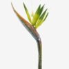Artificial Flower 13*94cm Strelitzia single stem GS-50525041-G1 2025Oct YeahFlower is one of Chinese leading OEM manufacturers and exporters , supplying the silk flowers, wholesale artificial trees