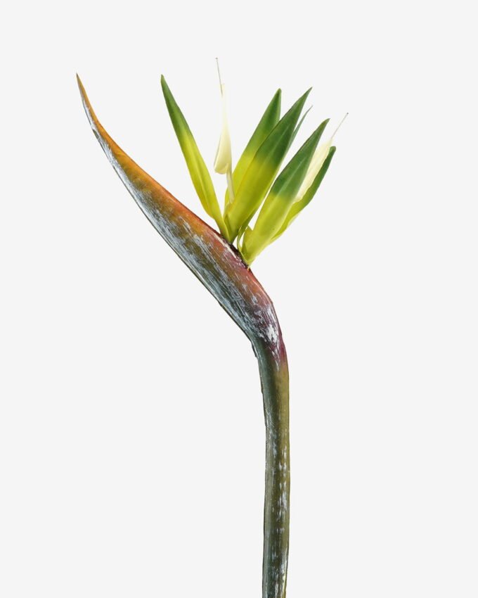 Artificial Flower 13*94cm Strelitzia single stem GS-50525041-G1 2025Oct YeahFlower is one of Chinese leading OEM manufacturers and exporters , supplying the silk flowers, wholesale artificial trees