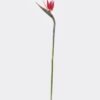 Artificial Flower Strelitzia single stem GS-50525041-R1_1 Artificial Flower 13*94cm Strelitzia single stem GS-50525041-R1 2025Oct YeahFlower is one of Chinese leading OEM manufacturers and exporters , supplying the silk flowers, wholesale artificial trees