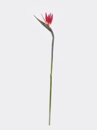 Artificial Plant 40*97cm livistona chinensis single stem GS-50525042 2025Oct 3,000+ sqm showroom with thousands of artificial flowers, plants & trees ready for global sourcing.