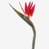 Artificial Flower Strelitzia single stem GS-50525041-R1_2 Artificial Flower 13*94cm Strelitzia single stem GS-50525041-R1 2025Oct YeahFlower is one of Chinese leading OEM manufacturers and exporters , supplying the silk flowers, wholesale artificial trees