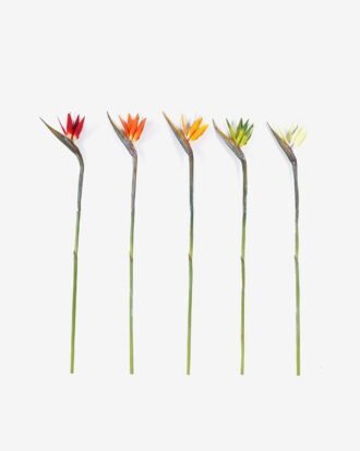 Artificial Flower 13*94cm Strelitzia single stem GS-50525041 2025Oct YeahFlower is one of Chinese leading OEM manufacturers and exporters , supplying the silk flowers, wholesale artificial trees Artificial Flower 13*94cm Strelitzia single stem GS-50525041 2025Oct YeahFlower is one of Chinese leading OEM manufacturers and exporters , supplying the silk flowers, wholesale artificial trees