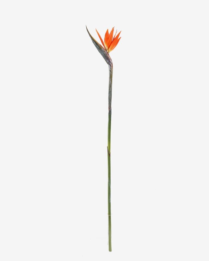 Artificial Flower Strelitzia single stem GS-50525041_5 Artificial Flower 13*94cm Strelitzia single stem GS-50525041 2025Oct YeahFlower is one of Chinese leading OEM manufacturers and exporters , supplying the silk flowers, wholesale artificial trees